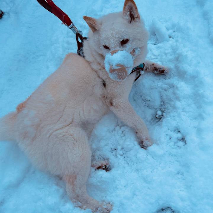 957ef25e d557 4fdf a931 8ea9d25d4669 1733869385438