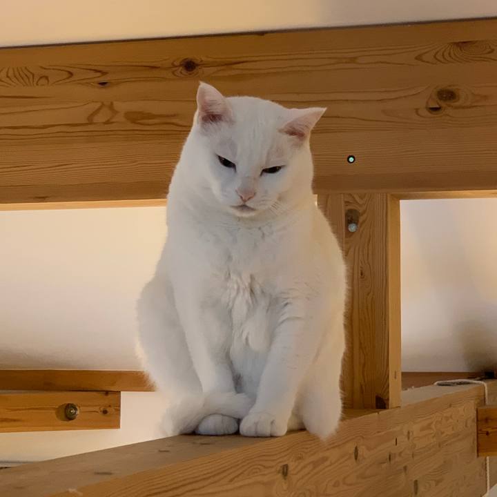 957f0d84 306d 4e3b b474 8dd64be87310 1640988552887