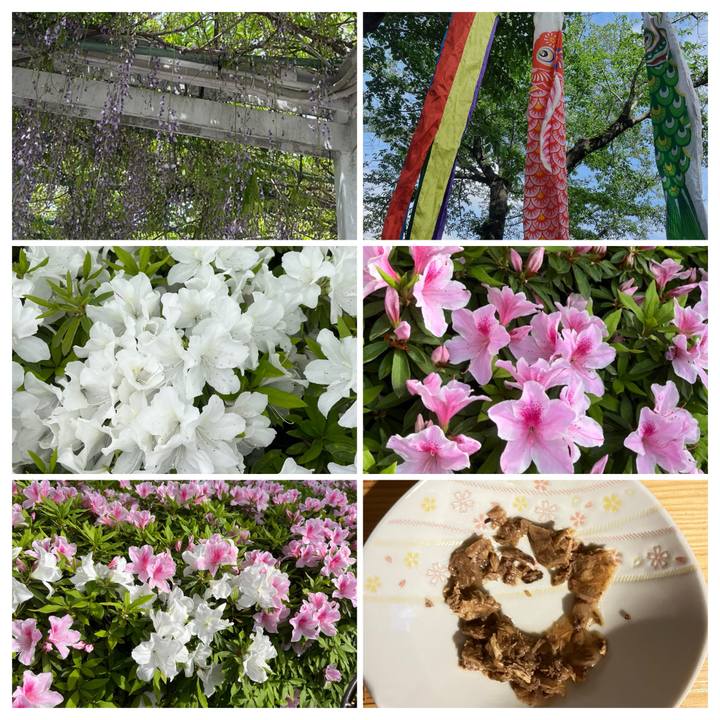 957f422d 469e 4ebc a2cb 9d94d5ca44fc 1714528219752