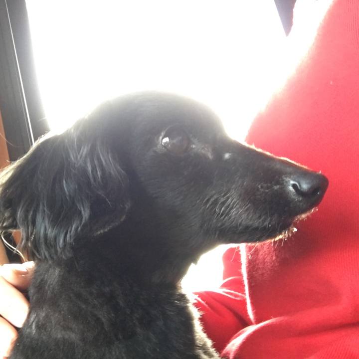 957f6e35 4827 49a3 89b5 c721e4a3f6c9 1547597947879