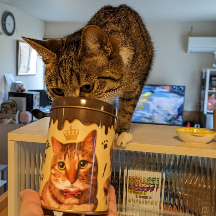 957fae14 170d 4e7c be12 908951c7e961 1710588722502