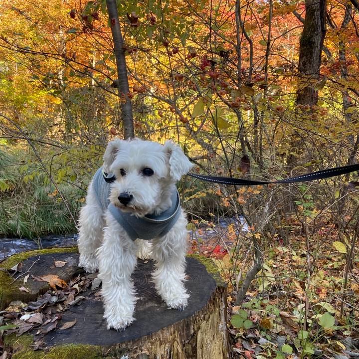 957fd996 89bd 43b4 a60e 4e391cca1cde 1764032917573