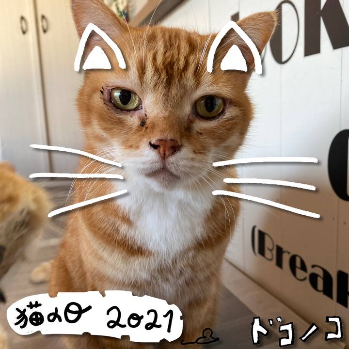 957fe323 db69 463a a16c 21771089e7e1 1613977227724