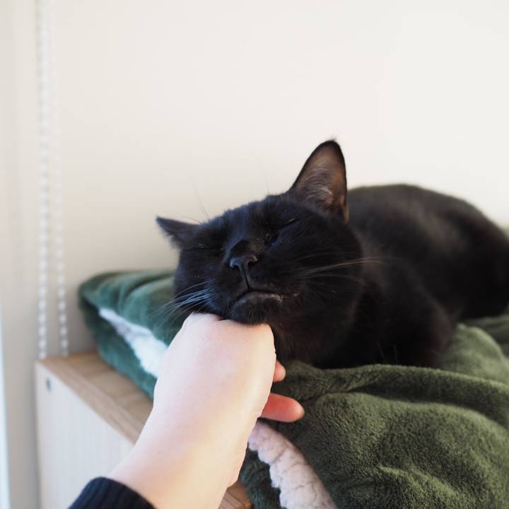 957ff5e4 0c8d 4270 a177 6fe0ff8e6a9f 1549583981084