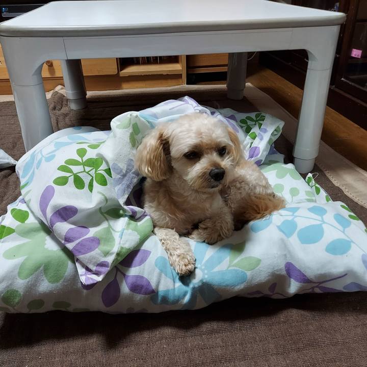 95801bec afb6 4306 bf7e 19a13790e244 1628415842662