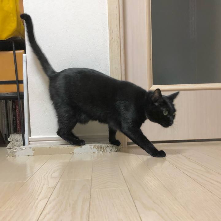 95802695 de7a 4a1b 827d 8ea0819198d3 1610712630566