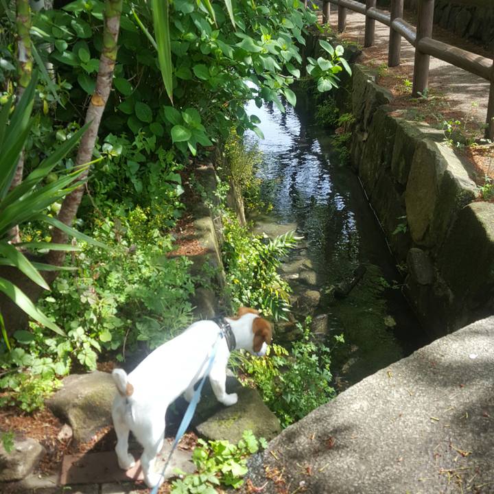 95803119 e91b 47f1 b3e9 0d6c7a9488ed 1556676649382