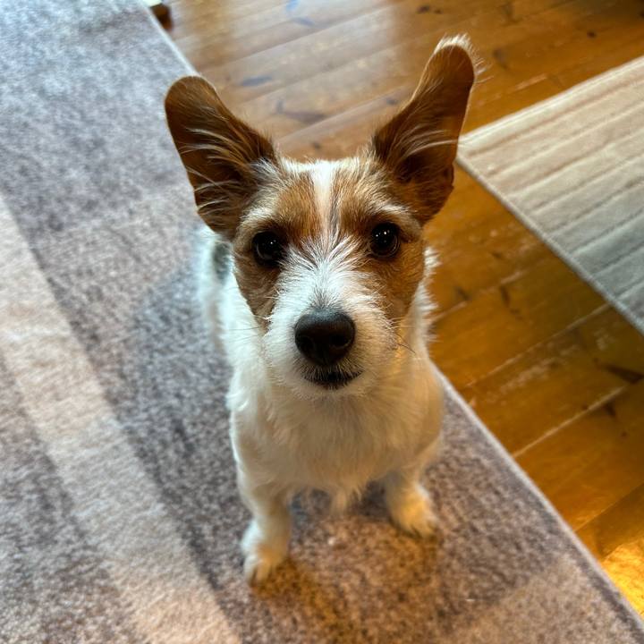 95804f29 305e 4c48 8716 97130577b07e 1766887478376