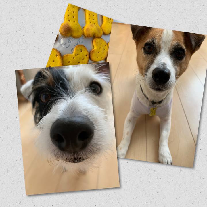 958063ad b005 4e66 8e4e 1f981befae72 1560410499882