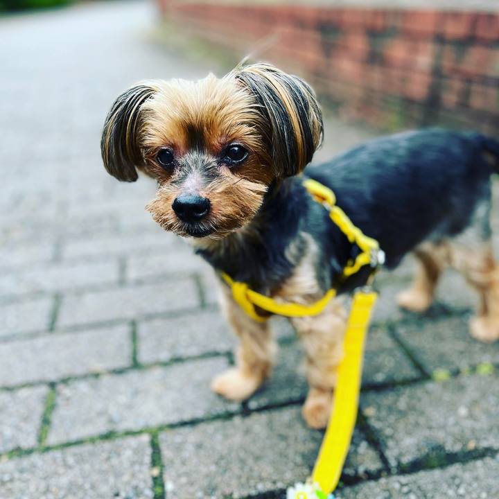 95808a21 b01c 4322 af03 48891e244ce0 1663899737222