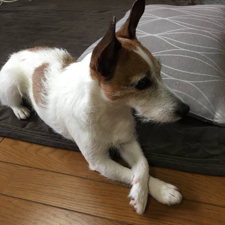 9580ad1a 0038 4174 b36a 72f78fcfca74 1622763220168