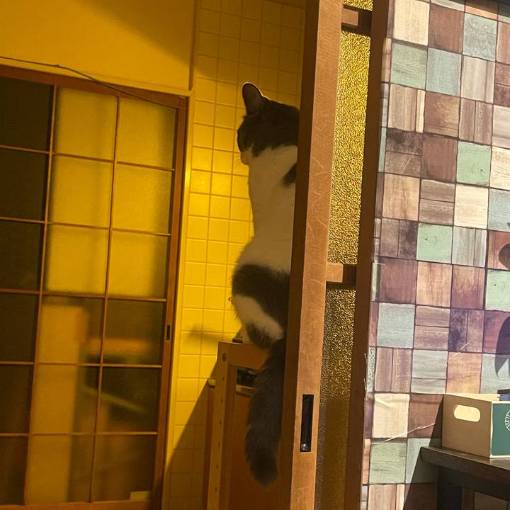 9580b4eb 45c0 4c39 a94e ffec7725edd2 1737804542376