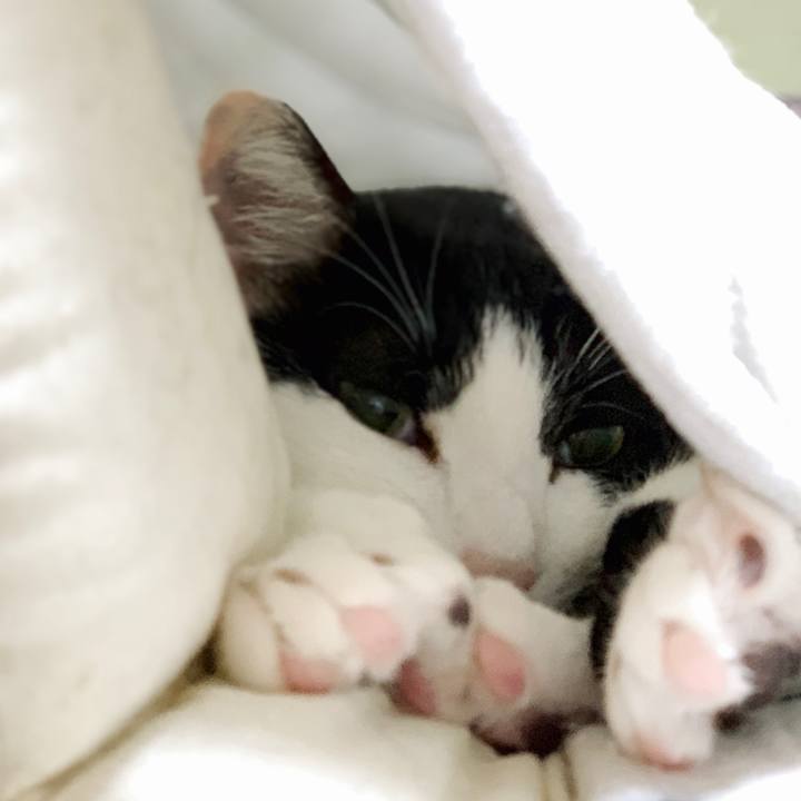 9580c160 61db 49fe 9b72 15599455d18b 1550370407943