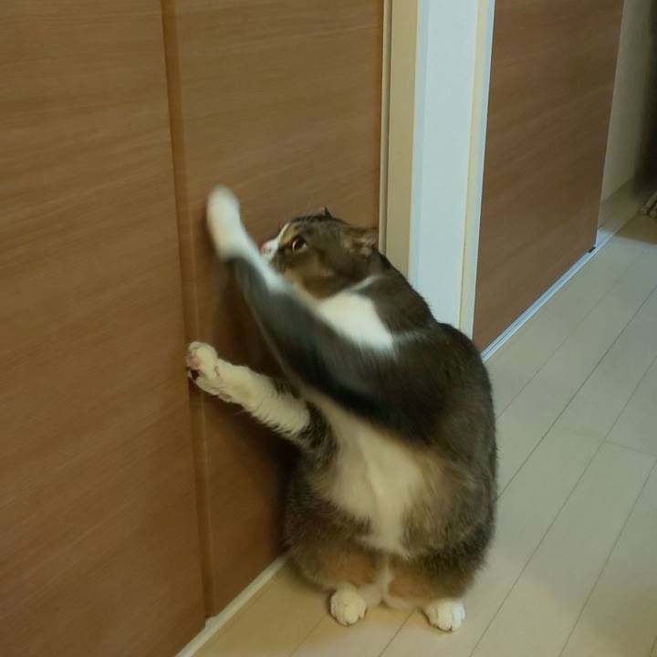 95811a39 ab54 4154 a4bd fed2588ffaea 1577792059148