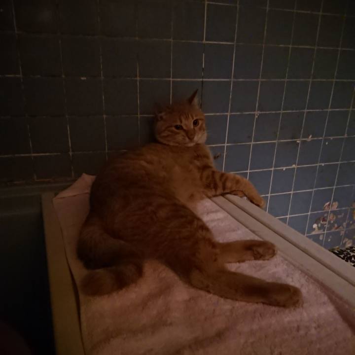 958122f3 c256 428a be1c 0e212aa08654 1652957479304