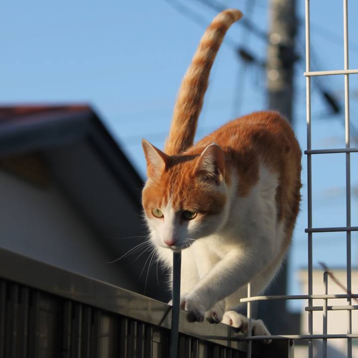 958123dd e0e3 403f a5d0 f14dbda61693 1517561665595