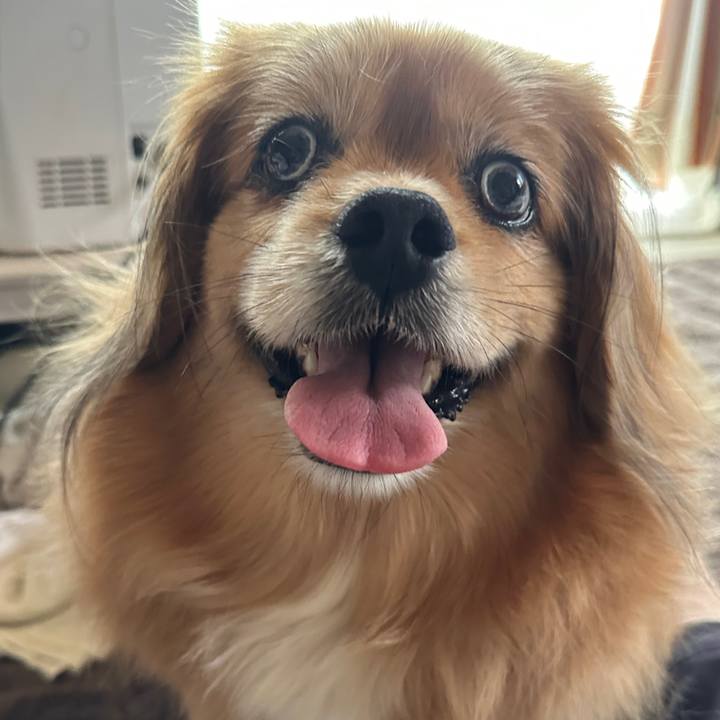 9581756e 651c 49b7 a669 08f129ec655c 1747957709215