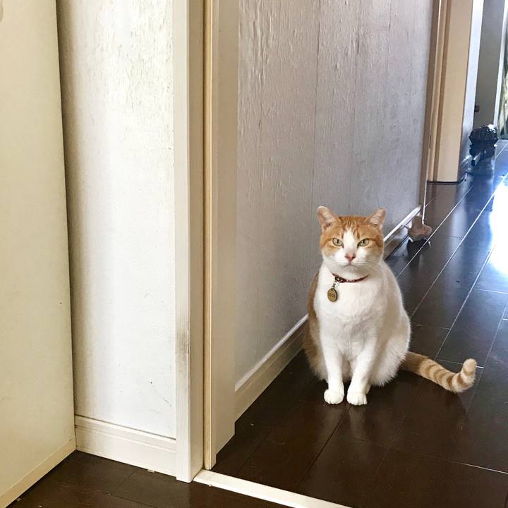 95817ce8 9882 4219 a8fc fe1d8f42ed5e 1576412891542