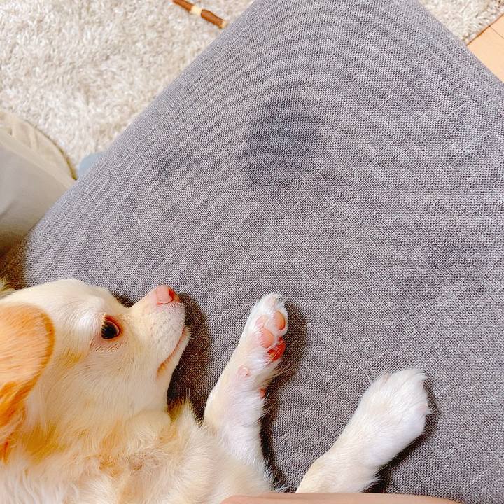 95818205 5240 453b b7a8 e906008a458b 1630715429192