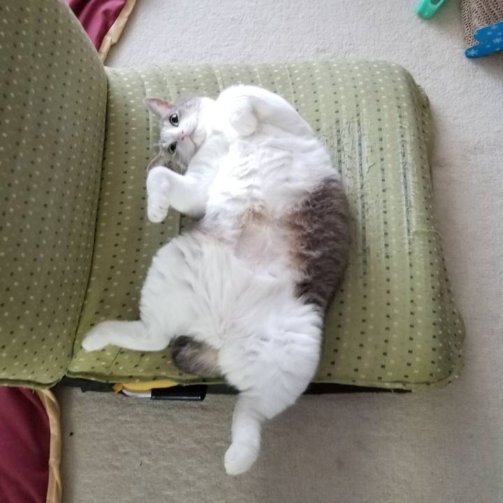 9581865a 011c 412d 8183 75d48d6cf2b2 1640735131381