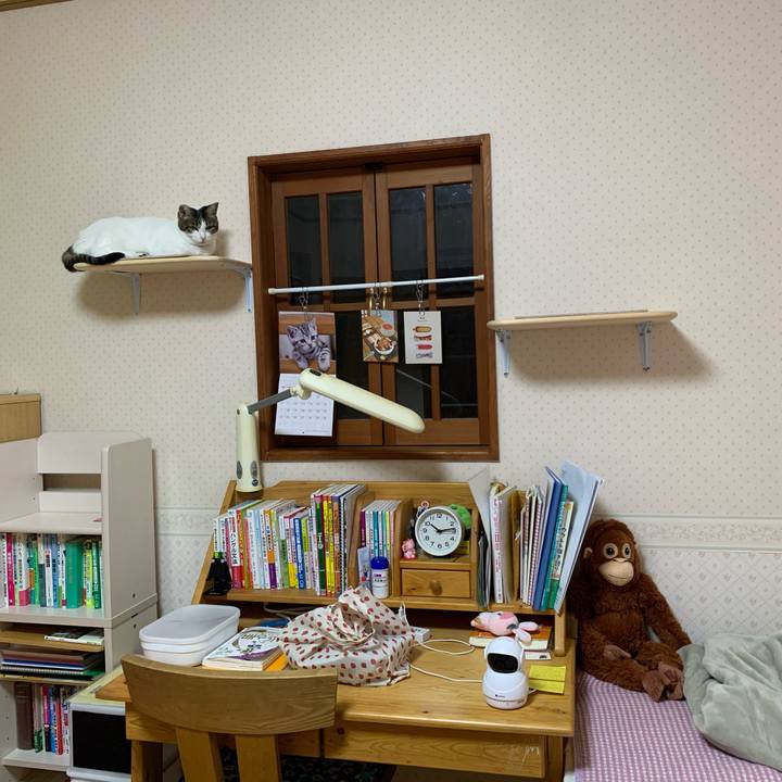 9581a2aa 43eb 4698 b138 cb03f7646d9a 1635254085483