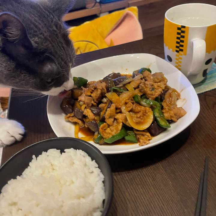 9581c92d 696e 4bf5 964e 7db171ad1a61 1753272356196