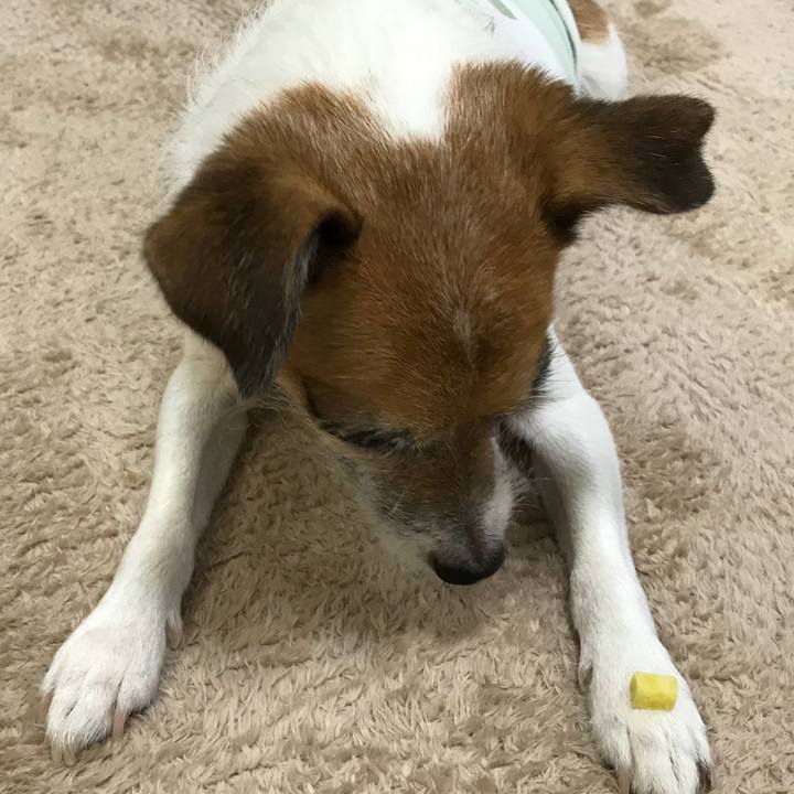 9581cf7b 882f 4a85 b176 756784e787ac 1537428100512