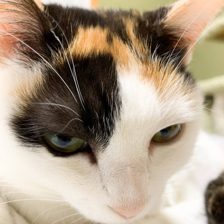 9581d5d9 12ac 4492 880f 5ec51c031e4c 1581124750867