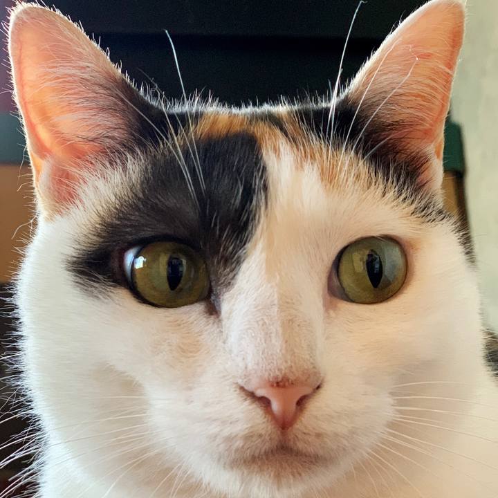 9581f023 2b87 4aa2 b215 65345925d61a 1595036962064