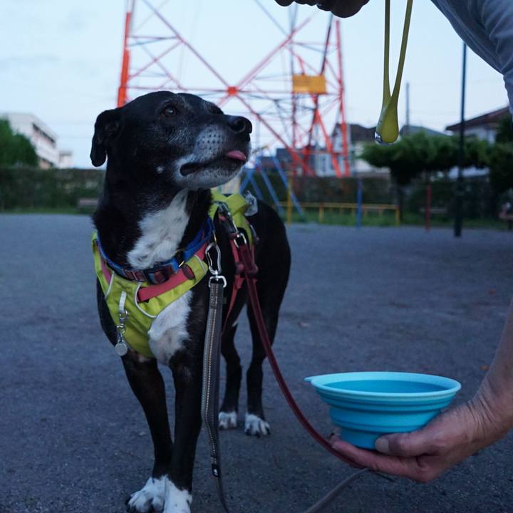 9581fc24 037a 43e2 a69b 630166aa2ff5 1783681580314
