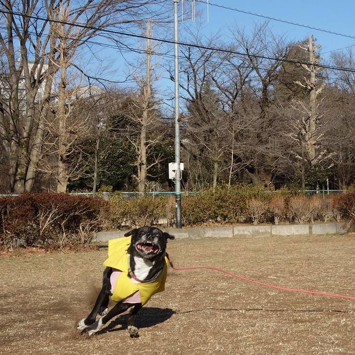 95820856 918a 424f b385 b6e0022c1373 1740529335748