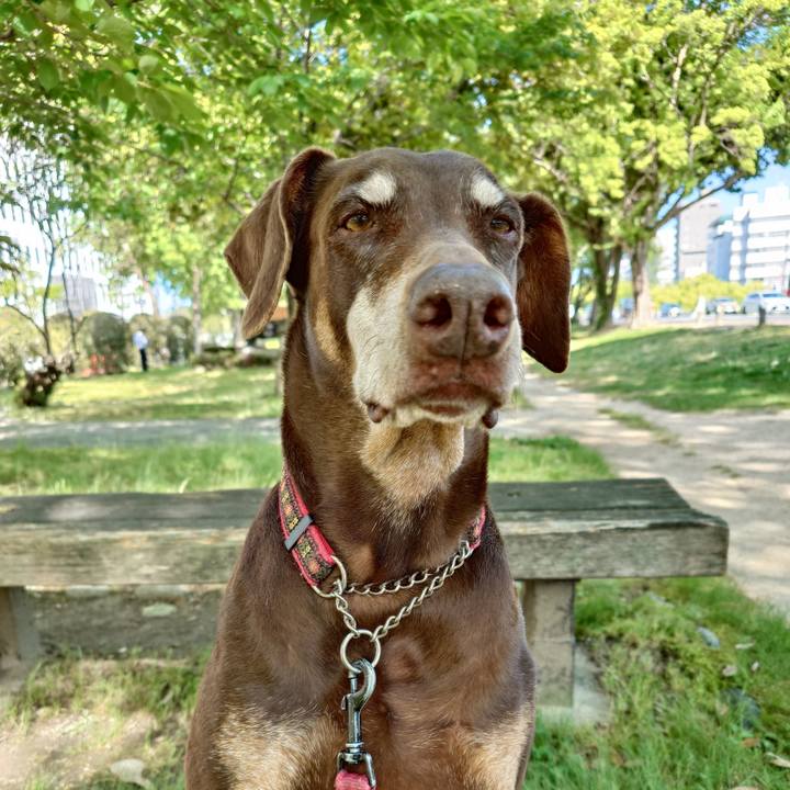 95821903 71c0 4de3 9fd8 db6f3d96b725 1764123953550