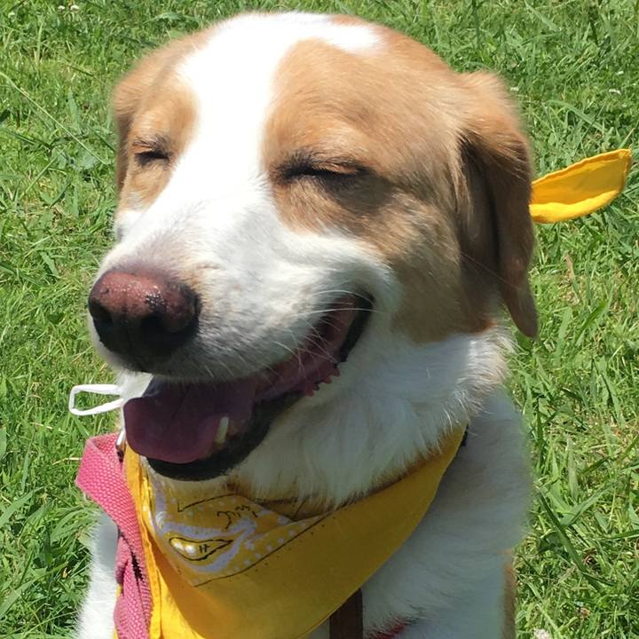 958228b3 ae08 46ba 9356 0e557ef88ead 1531118746913