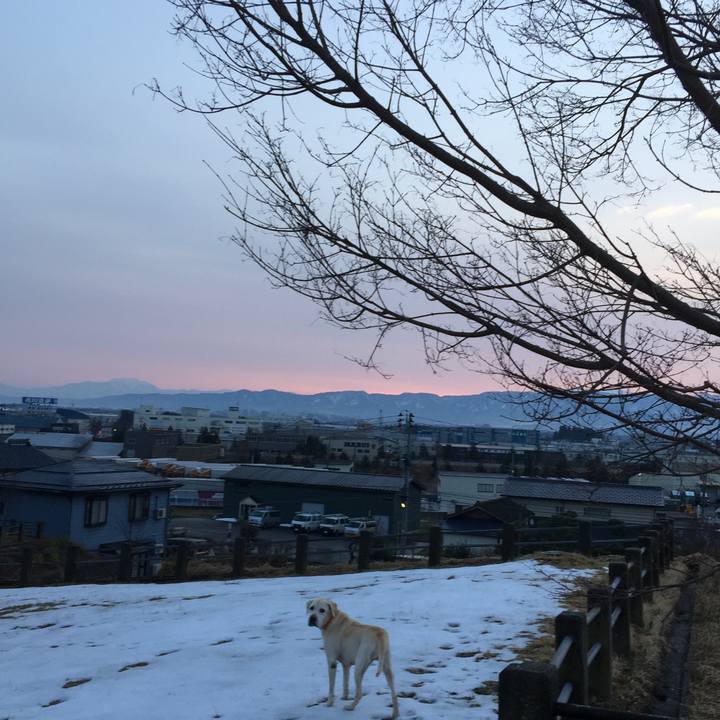 958228b7 eb85 4091 8193 c46f676c0c80 1547449652809