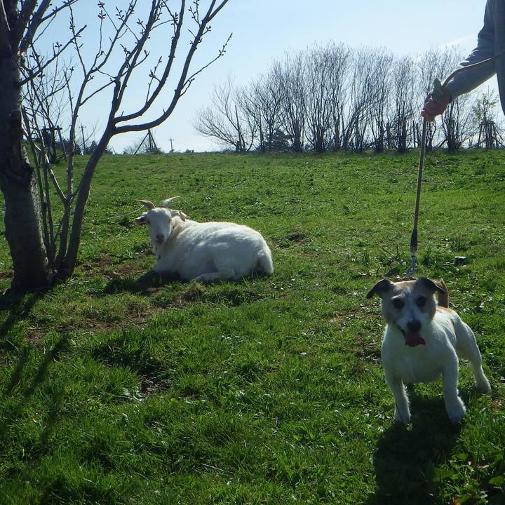 95822ccc e6fe 4a74 87b5 2dec5ae70935 1555831611028