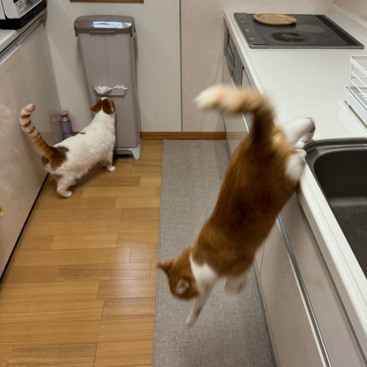 9582415a 3786 4b34 ba08 5dce7789ff84 1770506881240