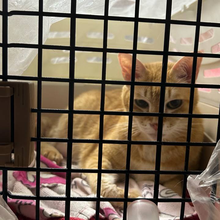 95824772 a2fd 4bb3 8666 611579b74d5e 1685275157075