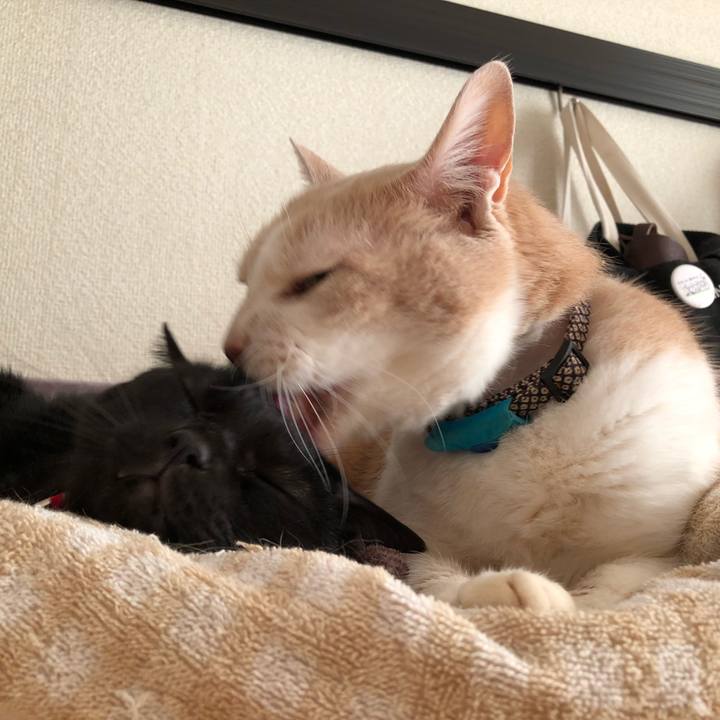 95824ba7 00ca 4a55 b71e 88a11e626a53 1612566452636