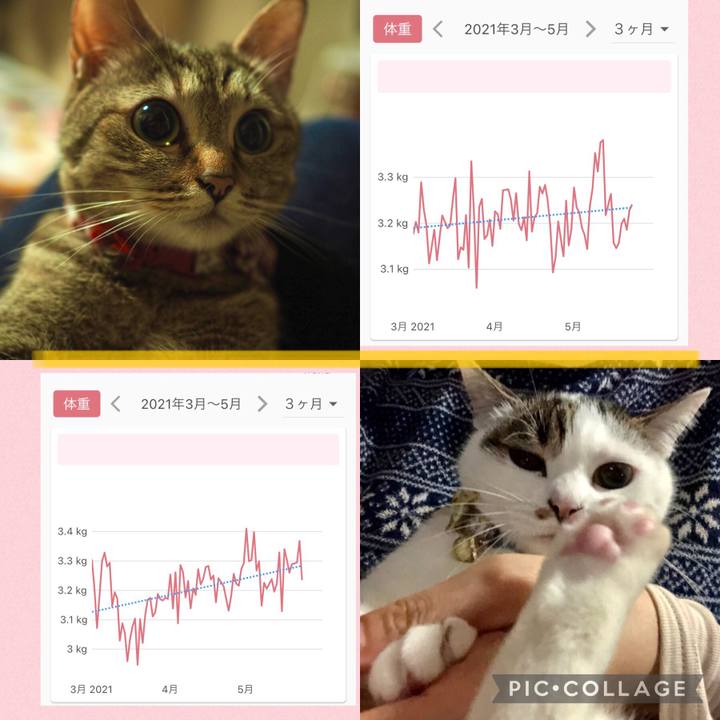 95824da6 3070 407c a755 4013a2b88d1b 1621840371908