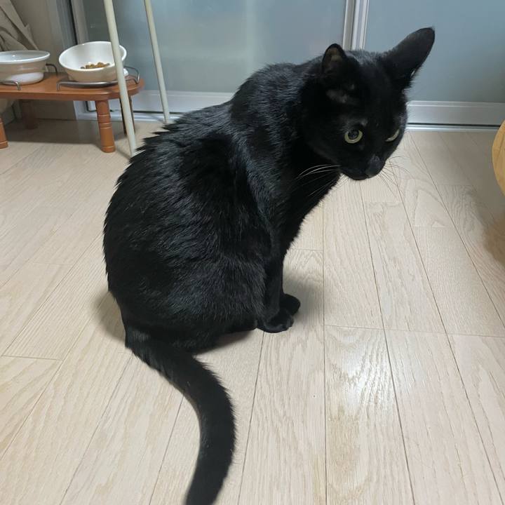 95825d62 19d8 410b ae7f bb9c19dcbd74 1707570308275