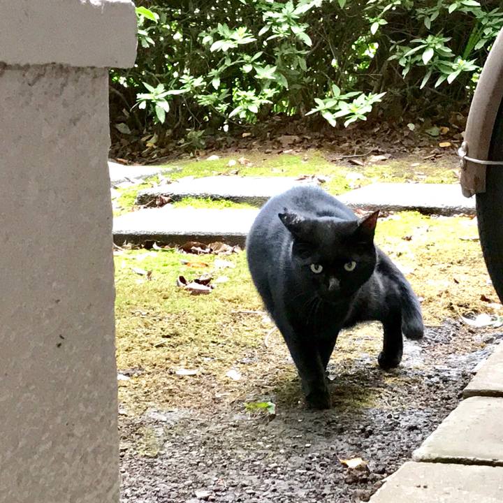 958273b6 bfca 4307 bcc5 847ccf7376e7 1548473407931