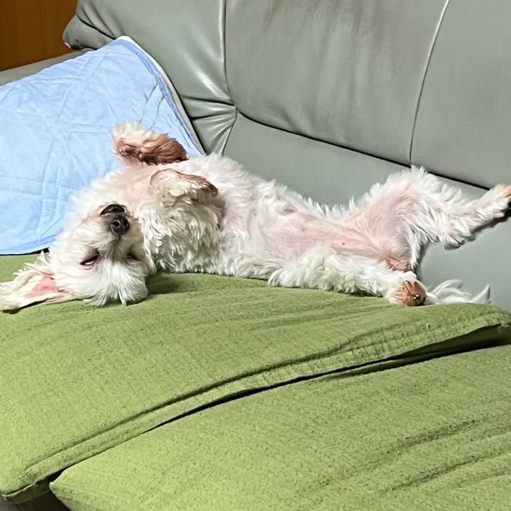 95829e7d 376c 418d bec2 17f300090350 1694951680922