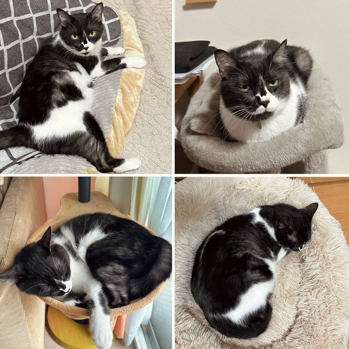 9582b999 d02b 4c63 8bda 082dd4f79255 1762257305987