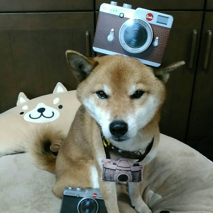 9582bf94 9114 448e 90bf a2766b30c5d4 1578993232283