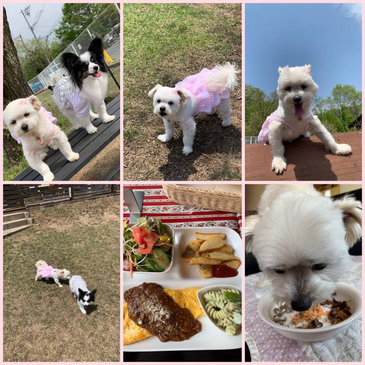 9582dfd7 67a7 46ec 8077 3c7192146799 1650705988175