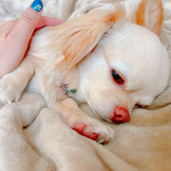 95830ca8 2077 4686 b2c3 29eda55528a6 1649830804452