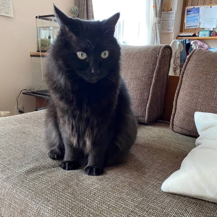 95831235 ee2a 41b9 b7ed c1f43f55a20e 1587175749354