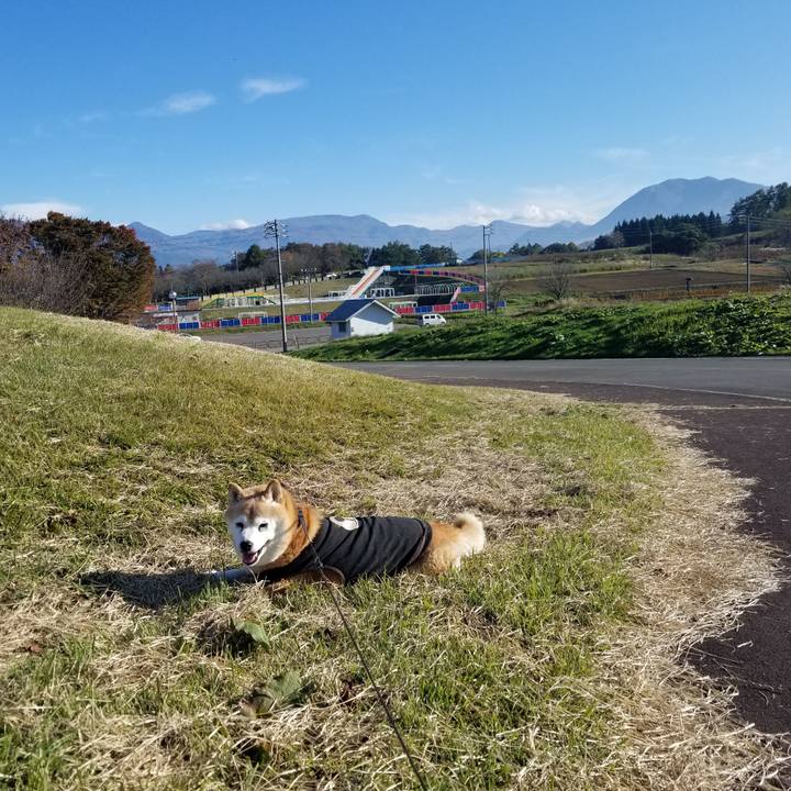 95831a11 02b7 40fe 9eef 14427fd68075 1731215328805