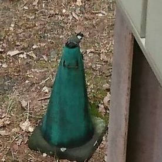 958328f4 e0ec 4089 9842 7dfbcc8ca16b 1590702697016