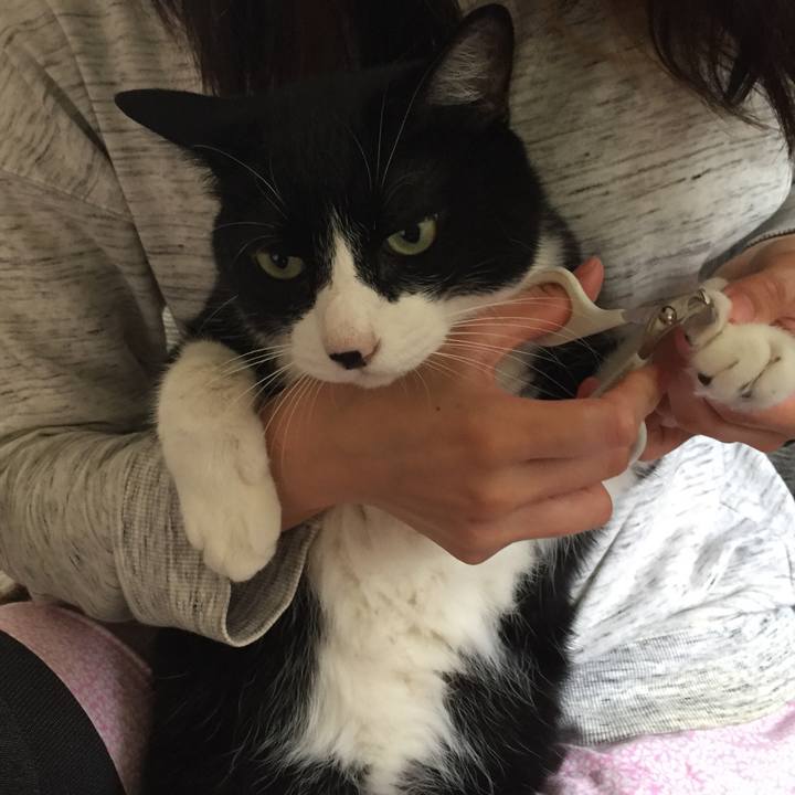 95833d83 5bed 4e71 9429 71f714c0b51a 1529829584800